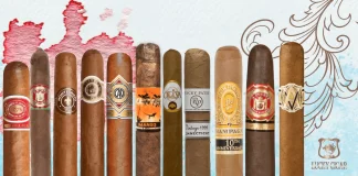 2025’in En İyi Puroları: Damağınıza Layık Seçimler