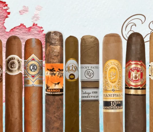 2025’in En İyi Puroları: Damağınıza Layık Seçimler